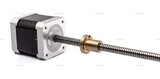 Шаговый двигатель 42HSL48-1204JA08-E150 (Tr8*8) - st-e.info - Ленинск-Кузнецкий